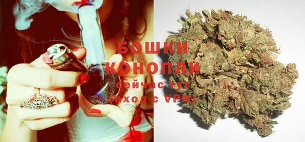 дурь Туринск