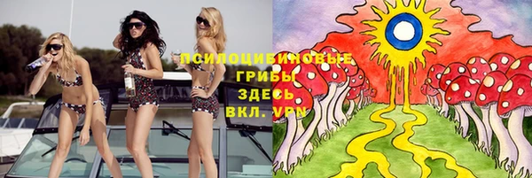 соль курить ск Горно-Алтайск