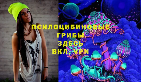 прущая мука Горняк