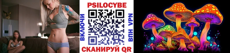 KRAKEN как зайти  Мезень  Галлюциногенные грибы Psilocybe 